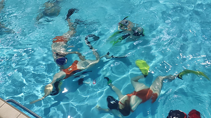 Hokej pod wodą Walenie Siemianowice Śląskie Trening 26 XI 2022. Koniec Walenia czyli Amatorska Liga Hokeja Pod Wodą